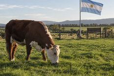 El Mercosur quiere ampliar de 450 a unos 3.000 los productos alcanzados por beneficios arancelarios en el comercio con India.