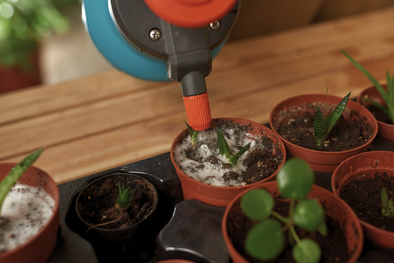 MDZol | Este abono casero es oro puro para las plantas del jardín Foto: Shutterstock