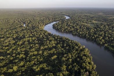 MDZol | Una expedición brasileña buscará medir el río Amazonas desde su nacimiento hasta su desembocadura, para así determinar su longitud real. Foto: GETTY IMAGES