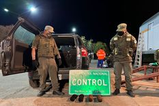 Falsos gendarmes robaron una importante suma de dinero Falsos gendarmes robaron una importante suma de dinero