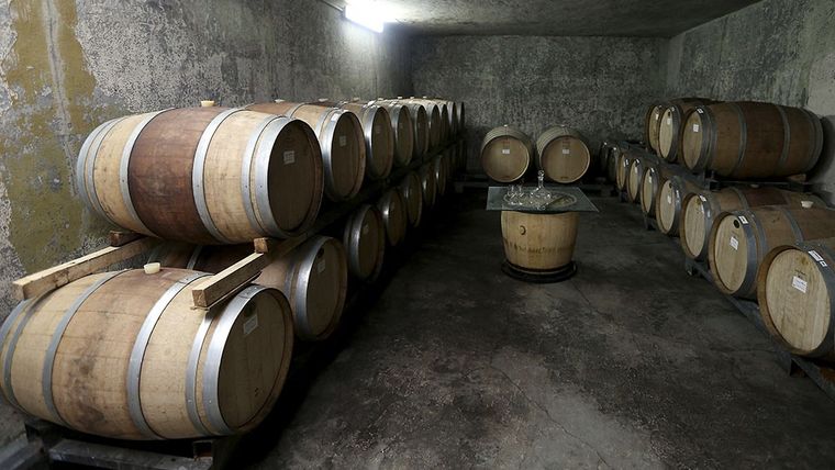 Bodega - Imagen ilustrativa Foto: Telam