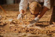 El descubrimiento ocurrió en Alicante, España Foto: Shutterstock