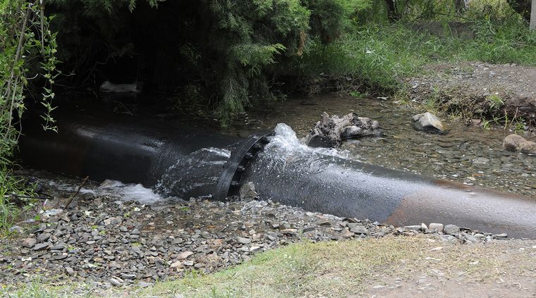 Foto: Alf Ponce / MDZ