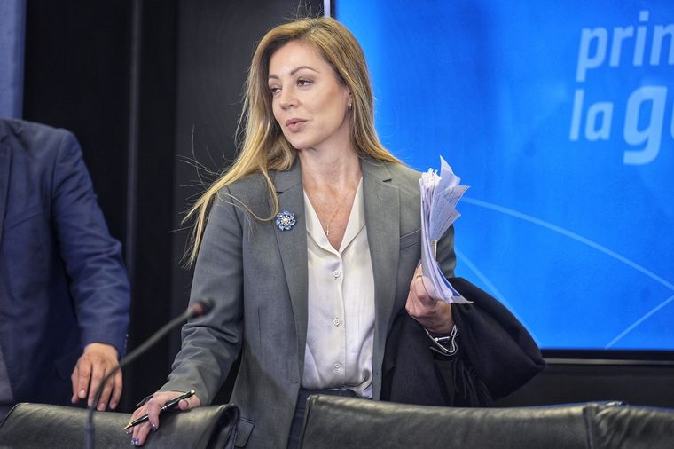 Royon puso a disposición del presidente su renuncia y se despidió de sus funciones con un mensaje hacia el Gobierno Foto: Telam