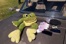 En un peluche Triste final: el muñeco del Sapo Pepe al ser hallado por la Policía.