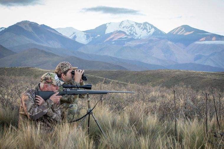 La provincia habilita la caza sin límite de especies consideradas invasoras como el ciervo colorado y el chancho jabalí.