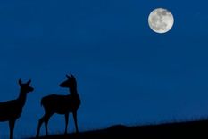 Luna azul: el raro evento cósmico que podrá verse este 31 de octubre (y que no se repetirá hasta 2023)