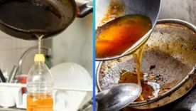 Aceite vegetal será reutilizado en Mendoza. Aceite vegetal será reutilizado en Mendoza.