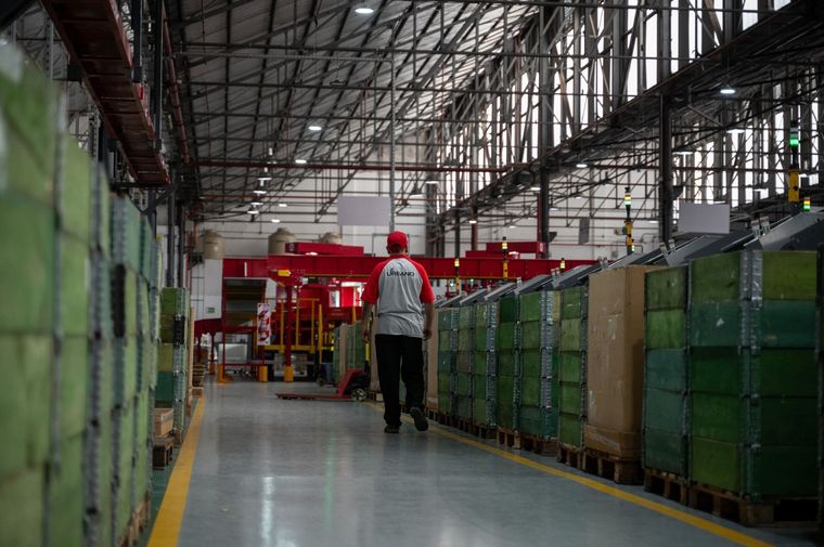 Se espera que la logística inversa siga desempeñando un rol crucial en la transformación de la cadena de suministro global. Foto: CABA