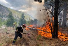 el desgarrador testimonio de un bombero desde el bolson