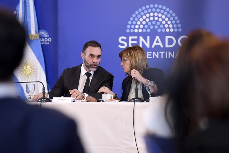 Patricia Bullrich lidera las conversaciones del oficialismo en el Senado para garantizar que todo marche acorde al plan. Patricia Bullrich lidera las conversaciones del oficialismo en el Senado para garantizar que todo marche acorde al plan.