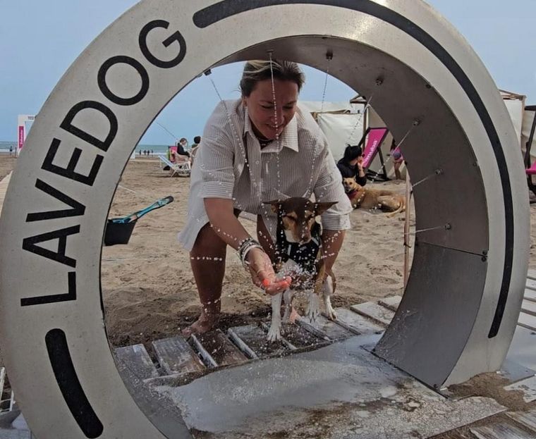 La temporada de verano en la Costa Atlántica sumó una novedad que marca tendencia dentro del turismo pet friendly.&nbsp;