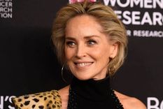 Sharon Stone enloqueció a todos con su atrevido topless.
