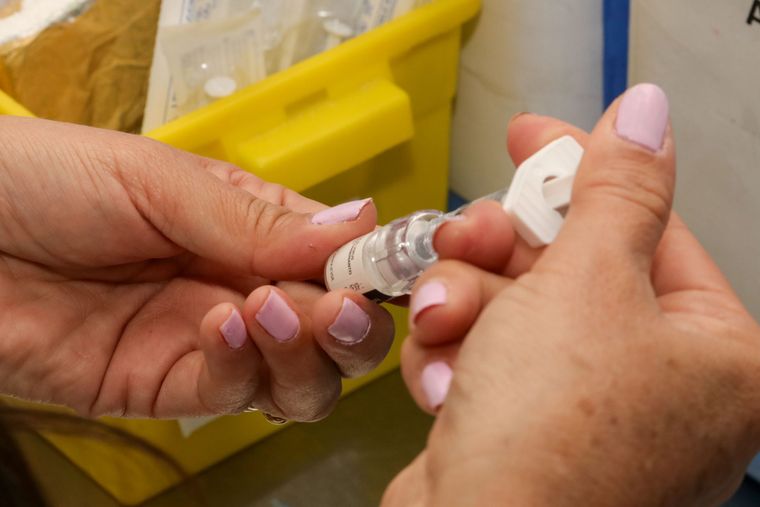 La vacunación contra el virus está destinada a embarazadas entre las 32 y 36 semanas de gestación. La vacunación contra el virus está destinada a embarazadas entre las 32 y 36 semanas de gestación.