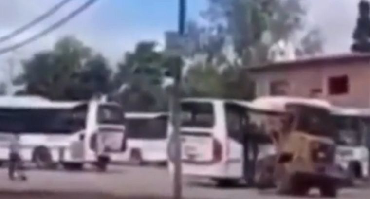 Un testigo registró el insólito episodio. Foto: Captura de video