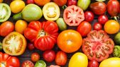 Existen una gran variedad de tomates, algunos más insípidos que otros Foto: Shutterstock Existen una gran variedad de tomates, algunos más insípidos que otros Foto: Shutterstock