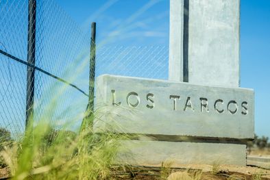 MDZol | Los tarcos 2 Los tarcos 2