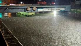 Temporal en Zárate. Foto: X
