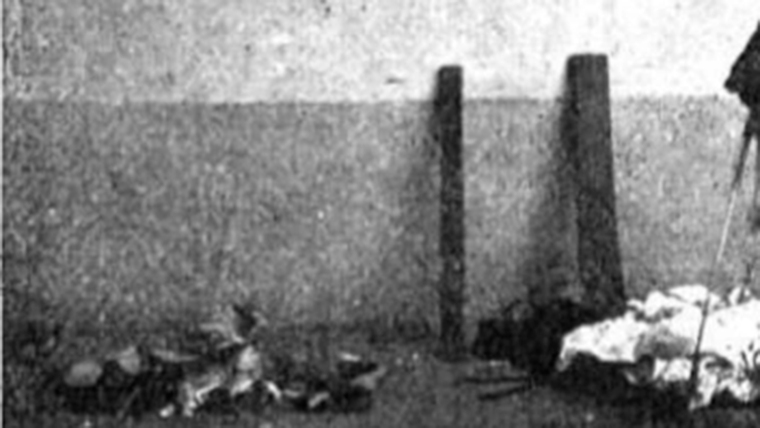 Elementos utilizados por los asesinos para los ataques contra sus víctimas. Elementos utilizados por los asesinos para los ataques contra sus víctimas.