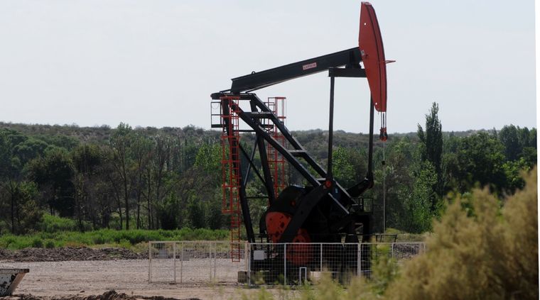 Foto: ALF PONCE MERCADO / MDZ