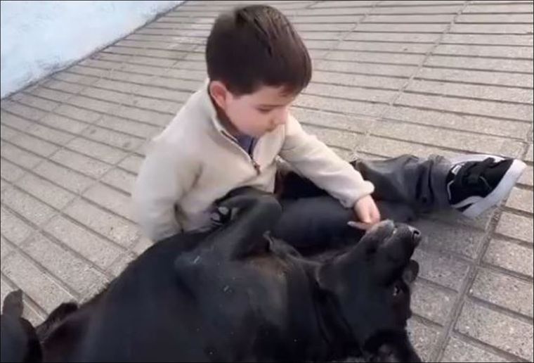 El video viral que conquistó el corazón de todos los usuarios en redes sociales.