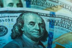 cuales son las empresas cuyos empleados no podran comprar dolares