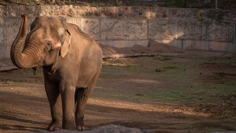 Se publicaron los datos de la autopsia al cuerpo de Tamy.