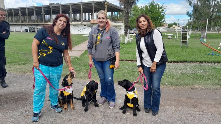 Los cachorros tienen cuatro meses Foto: Servicio Penitenciario Bonaerense