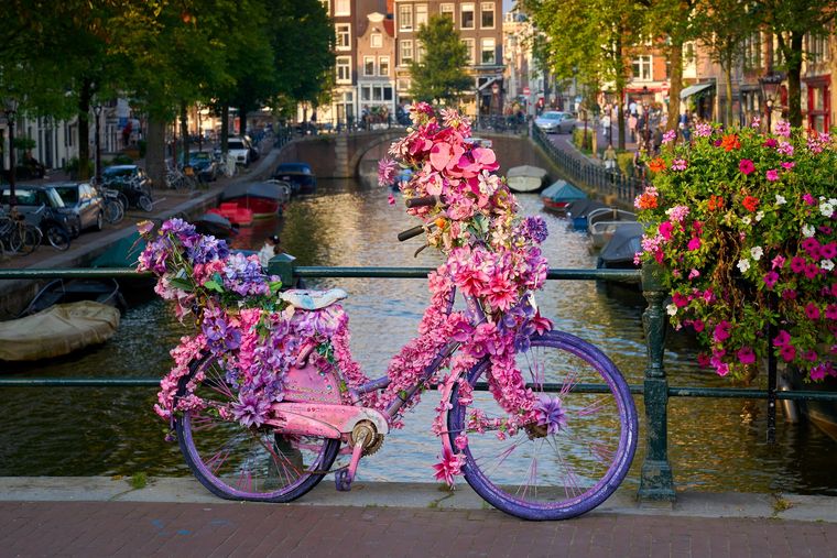 Tener una bicicleta vieja puede ser el objeto más valioso del hogar en simples pasos.