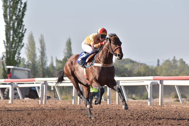 Pulpinello es el favorito entre los profesionales para la carrera del domingo.