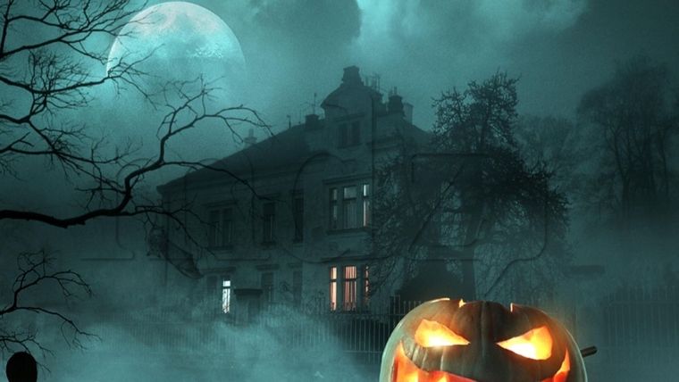 Este en particular, con su estética tenebrosa y su nivel de dificultad moderado, volvió a capturar la atención de miles de usuarios Foto: Archivo MDZ