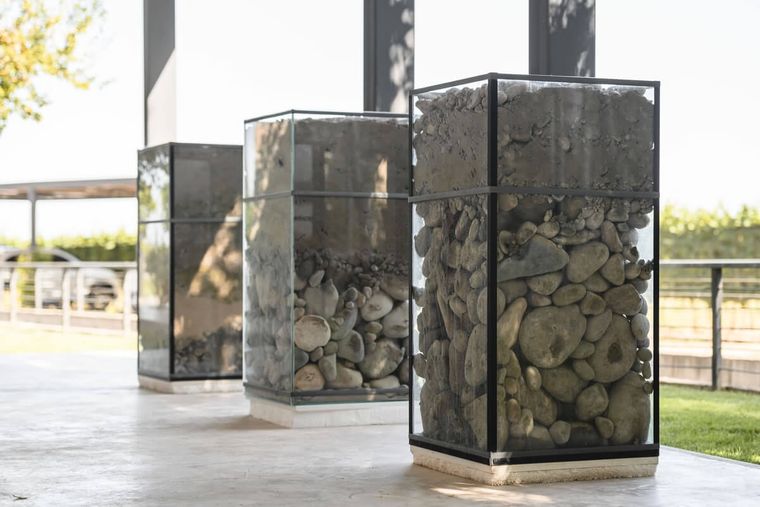 El terroir de Finca Bandini.