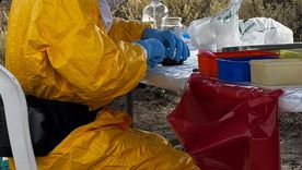 Las autoridades sanitarias recomendaron reforzar los cuidados en zonas rurales y semirrurales ante el aumento de la letalidad.