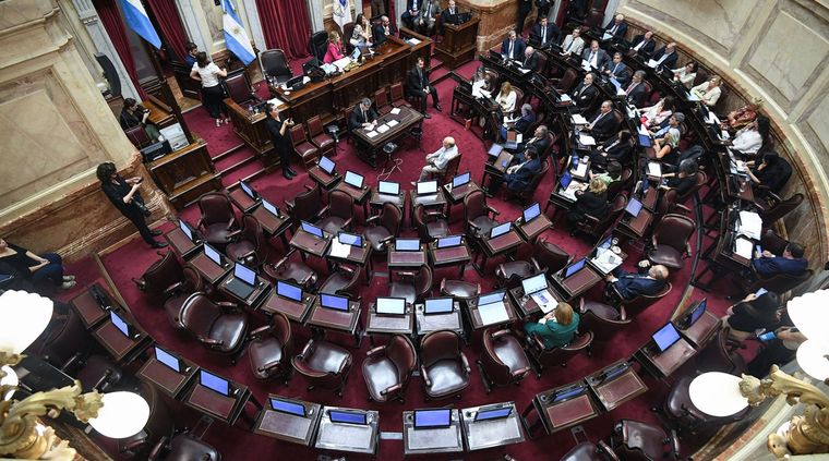 Foto: Prensa Senado Nacional