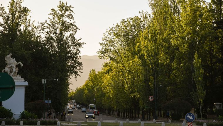 Foto: Santiago Tagua/MDZ