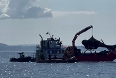 Foto: Captura de pantalla