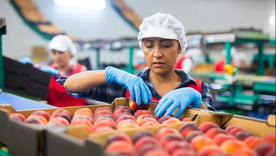 La asistencia del sector público se realizará de manera más directa en los privados y focalizada según las necesidades concretas Foto: Shuterstock.