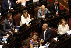 Ley de Glaciares: cómo votarán los senadores nacionales por Mendoza.