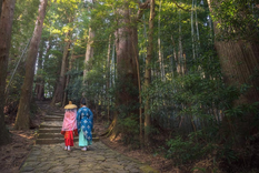 Desde Japón llega una técnica que ayuda a bajar el estrés de todos los días, solamente con un baño de bosque. Foto: Shutterstock