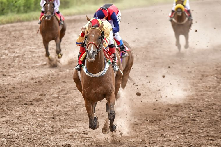 Piccolo Veloce intentará ser una de las figuras de la jornada de hoy en Mendoza Foto: Gentileza José Maluf