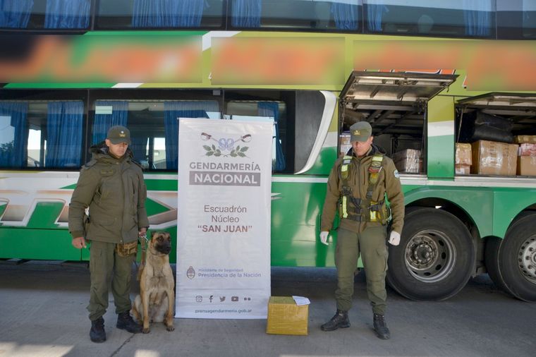Los canes fueron fundamentales en la detección de los estupefacientes. Foto: Gendarmería Nacional