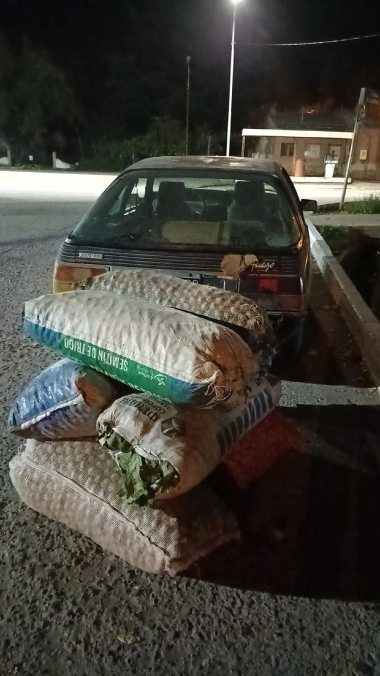 Secuestraron una importante cantidad de nueces robadas en dos operativos y hay cuatro detenidos Foto: Ministerio de Seguridad de Mendoza