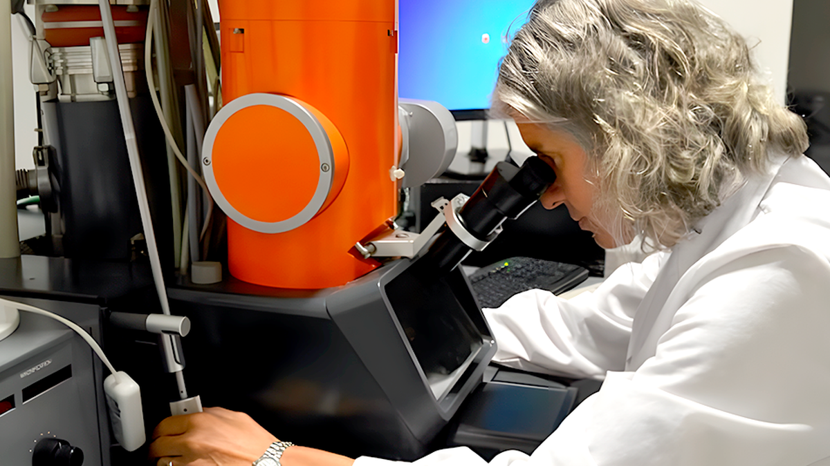 Una científica mendocina investiga un virus que afecta la producción animal