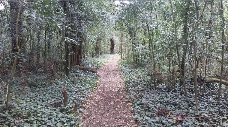 El Bosque Encantado, en General Belgrano Foto: Turismo General Belgrano