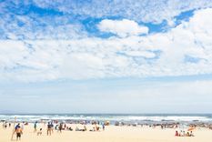 La playa tiene una gran biodiversidad a sus alrededores. Foto: shutterstock