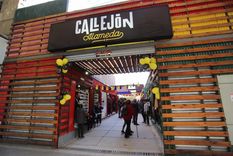 El nuevo paseo se ubica en calle San Martín de Ciudad, entre Godoy Cruz y Barcala Foto: Ciudad de Mendoza.