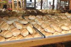 Foto: Mathias Guijarro/ Mediamza.com