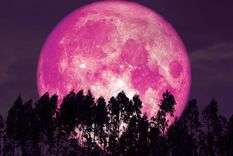 Super luna rosa Foto: MILENIO
