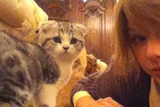 Foto: https://www.telemundo.com/entretenimiento/latinx-now-espanol/las-gatas-de-taylor-swift-le-tienen-envidia-sus-dedos-pulgares-tmna796251