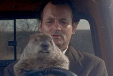 dia de la marmota: que se festeja en este dia tan particular